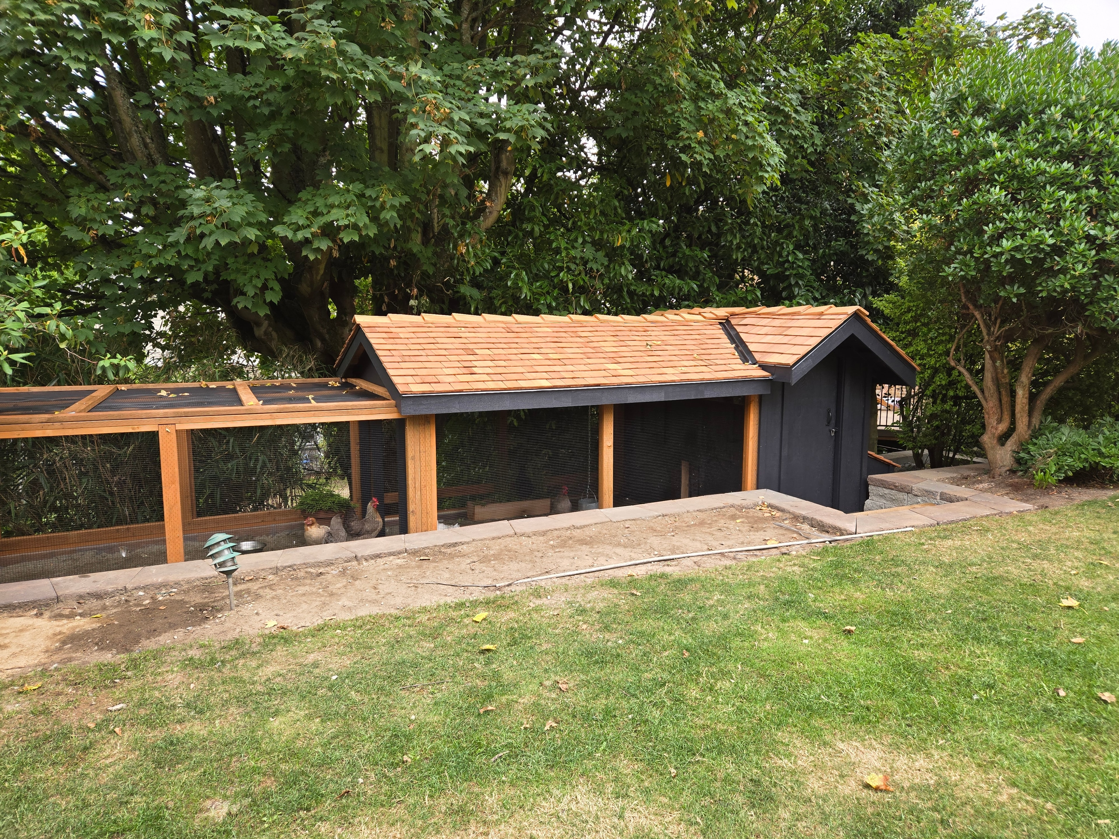 Custom Chicken Coop